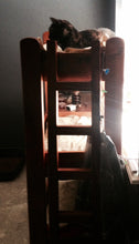 Kitty Bunk Beds - Custom Order